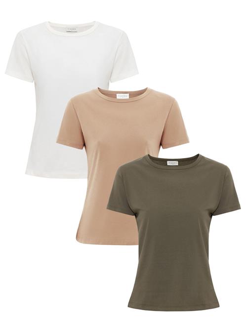 Cortera Shirts 'Delmare'  blandingsfarvet