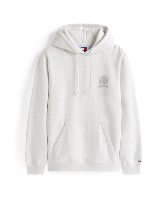 Tommy Jeans Sweatshirt 'PLAY'  blå / grå / pastelgrøn / mørkerød