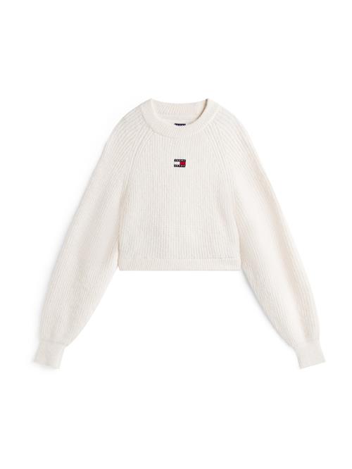 Tommy Jeans Pullover  marin / rød / hvid