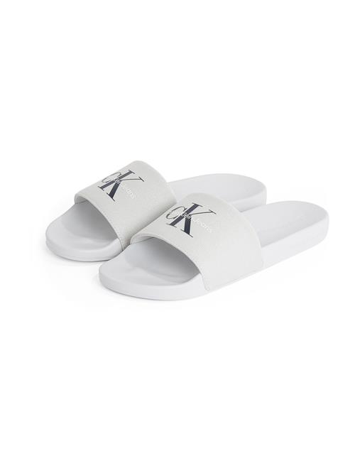 Calvin Klein Pantoletter  lysegrå / sort