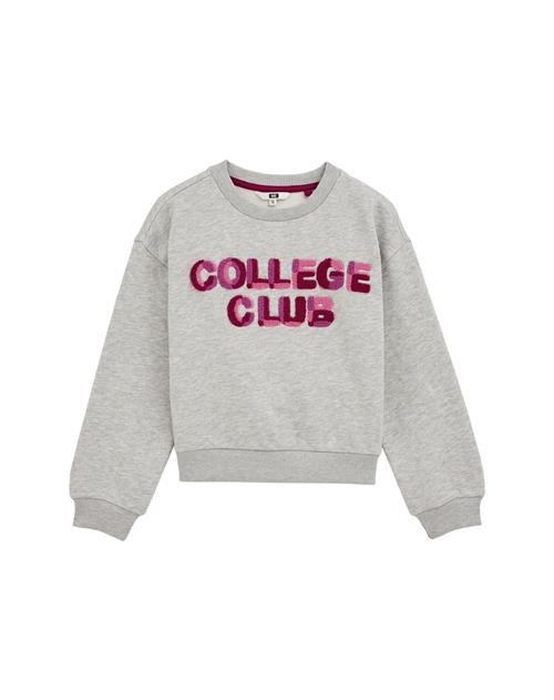 WE Fashion Sweatshirt  grå / lilla / bær / lys pink