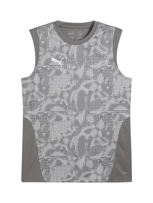 PUMA Fodboldtrøje  grå / mørkegrå