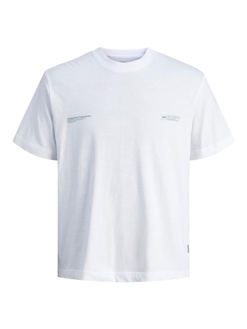 JACK & JONES Bluser & t-shirts 'JORBillyBurg'  blandingsfarvet / hvid