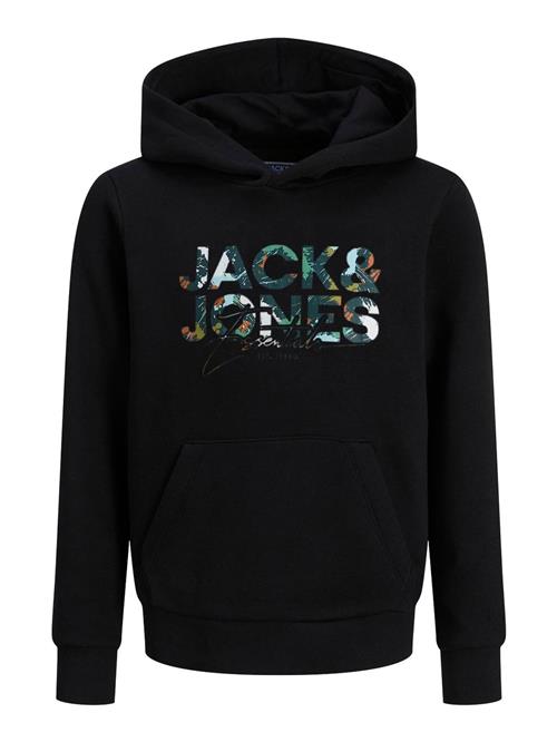 JACK & JONES Sweatshirt  blandingsfarvet / sort