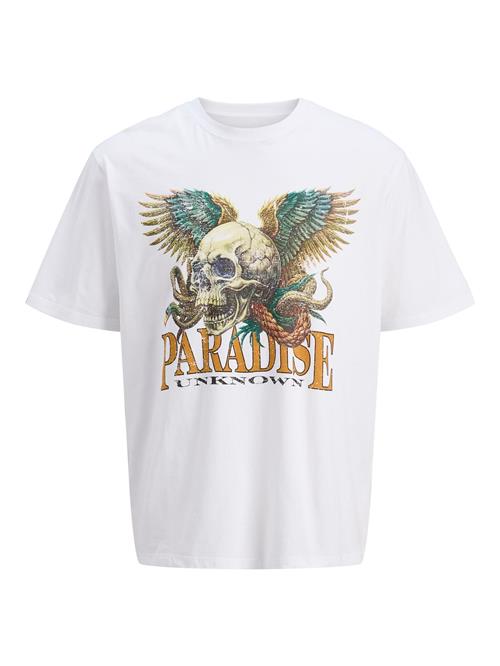 JACK & JONES Bluser & t-shirts  karamel / grøn / pastelgrøn / hvid