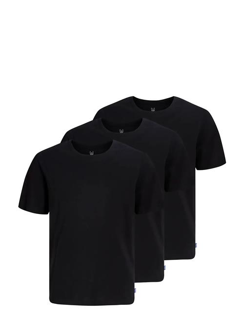 Jack & Jones | Jjeorganic Basic Tee Ss 3Pk Mp Noos Jnr | 164