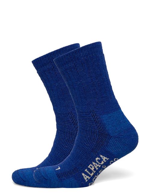 Alpacasocks&Co | Alpacasocks 2-Pack | 39-42