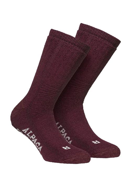 Alpacasocks&Co | Alpacasocks 2-Pack | 45-48
