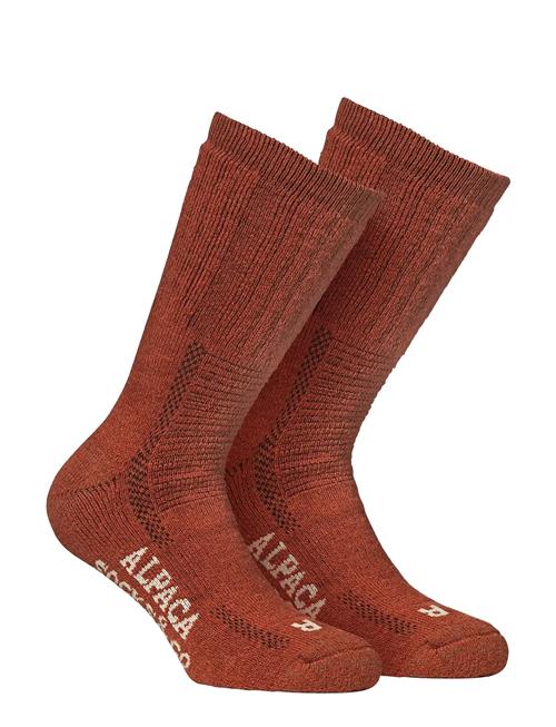 Alpacasocks&Co | Alpacasocks 2-Pack | 42-45