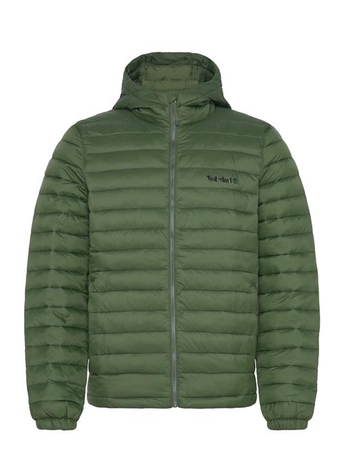 Timberland | Axis Peak Durable Water Repellent Hooded Jacket Black Forest Green | M