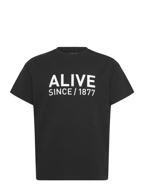 Helly Hansen | Core Graphic T 2.0 | XXL