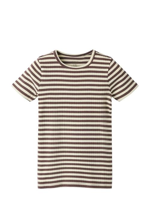 name it | Nkfsuraja Xsl Ss Top Noos | 146-152