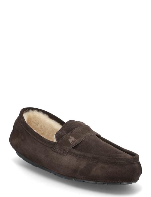 Shepherd | Denver Skor | 43