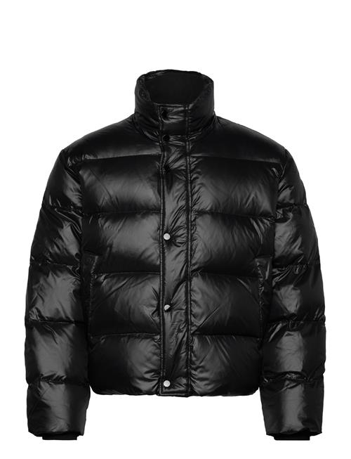 Abercrombie & Fitch | Anf Mens Outerwear | L