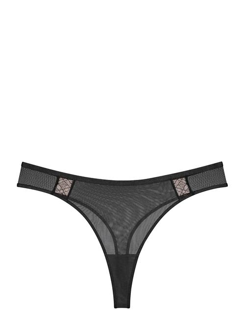 Triumph | Palina Cosmic Heartbeat String | 44