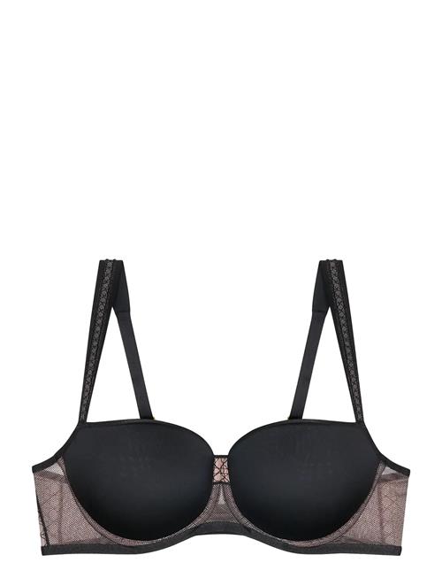 Triumph | Palina Cosmic Heartbeat Whp | B x 85