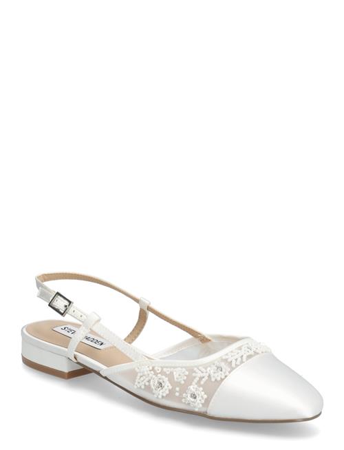 Steve Madden | Belinda-Mf | 37