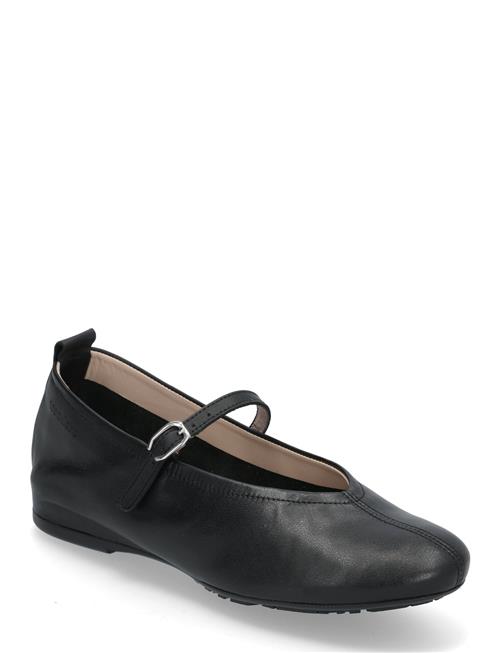 Wonders | Gracia | 40