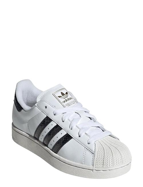 adidas Originals | Superstar Ii W | 40