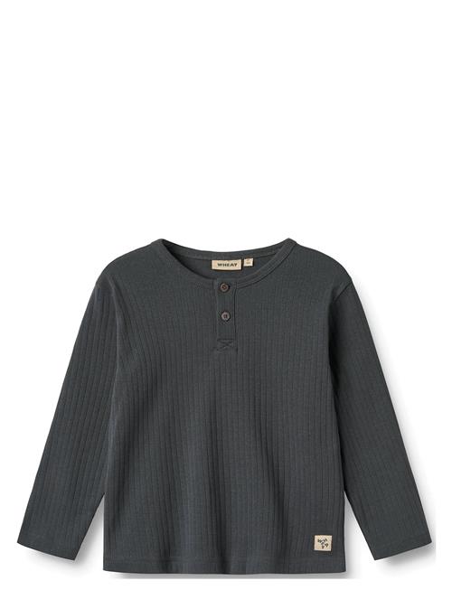 Wheat | T-Shirt L/S Morris | 104