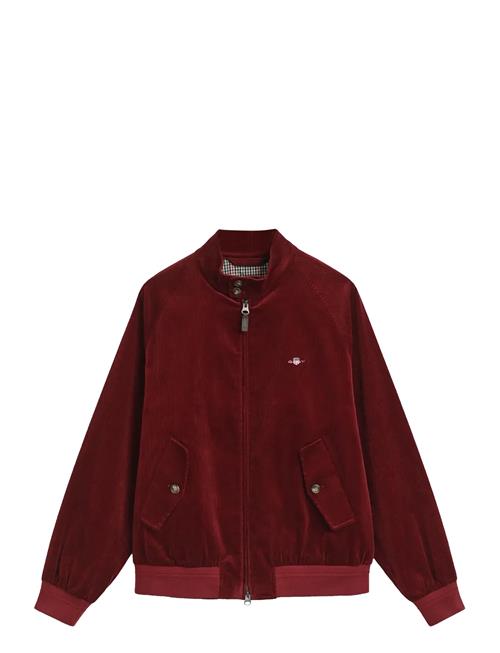 GANT | Cord Harrington Jacket | XL