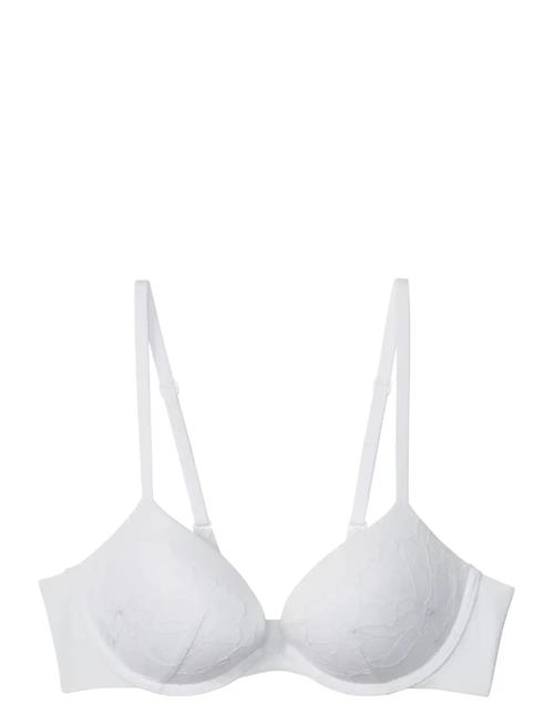 Calvin Klein | Push Up Plunge | B x 80