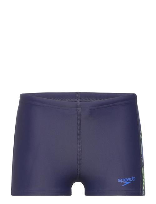 Speedo | Placement Aquashort | 164