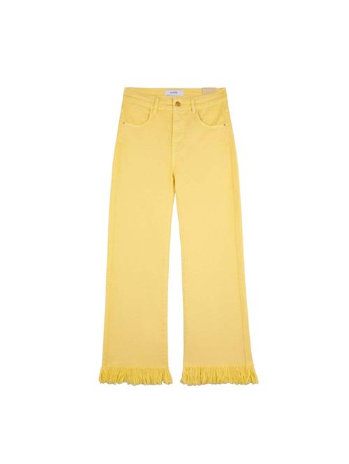 Scalpers Jeans ' '  gul / lysegul