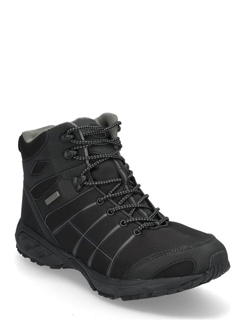 Exani | Capitan Hi M | 43