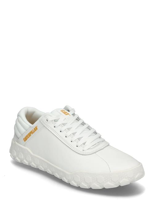 Caterpillar | Men's Hex + - Bright White | 44