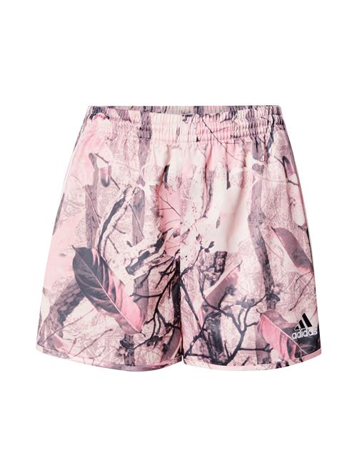 ADIDAS ORIGINALS Bukser  lyserød / sort / hvid