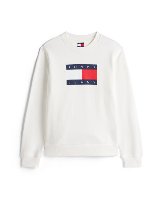 Tommy Jeans Sweatshirt  navy / rød / hvid