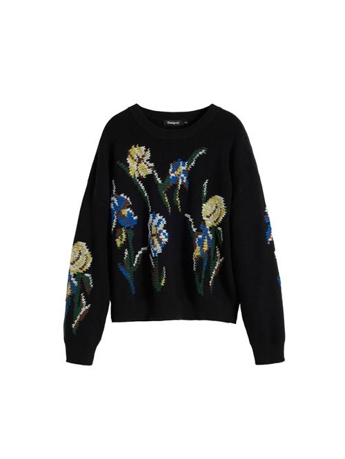 Desigual Pullover  blandingsfarvet / sort