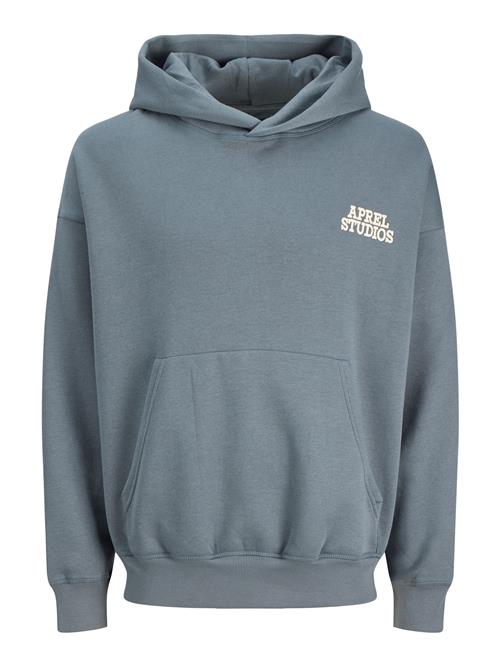 aprel Sweatshirt  grafit / uldhvid