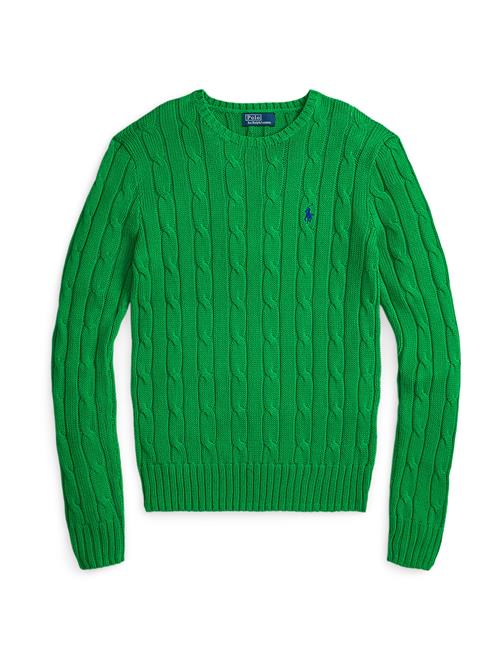 Polo Ralph Lauren Pullover  navy / grøn