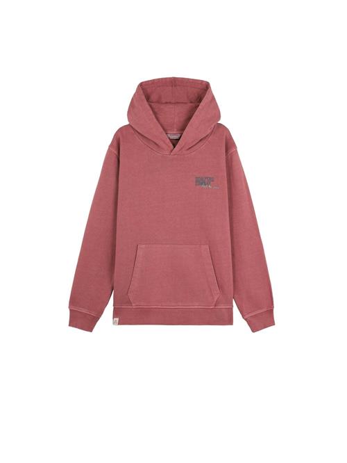 Scalpers Sweatshirt 'Typeskull'  grå / mørkegrå / burgunder