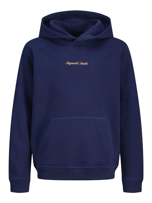 Jack & Jones Junior Sweatshirt 'JORNorrebro'  mørkeblå / lysebrun