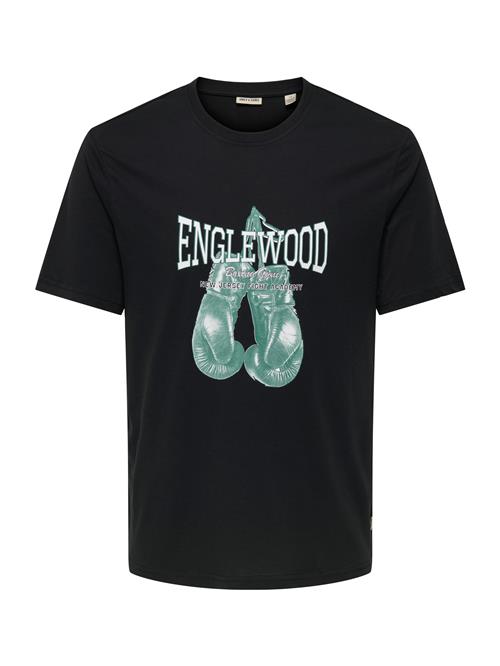 Only & Sons Bluser & t-shirts 'ONSBRON'  jade / sort / hvid