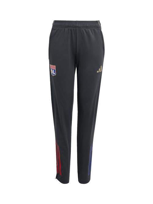 ADIDAS PERFORMANCE Sportsbukser  blå / guld / grå / rød