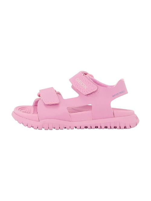 GEOX Sandaler  pink