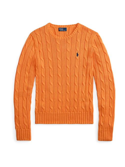 Polo Ralph Lauren Pullover  navy / orange