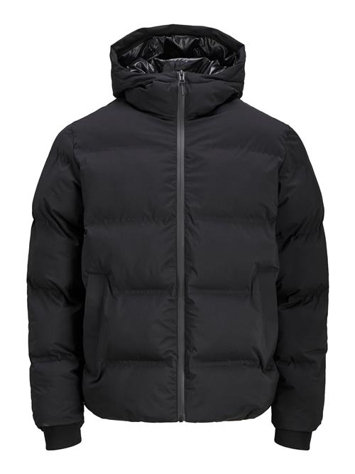 JACK & JONES Vinterjakke 'JJKaito'  sort