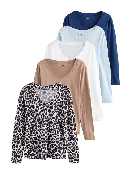 Next Shirts  royalblå / lyseblå / mokka / sort / hvid