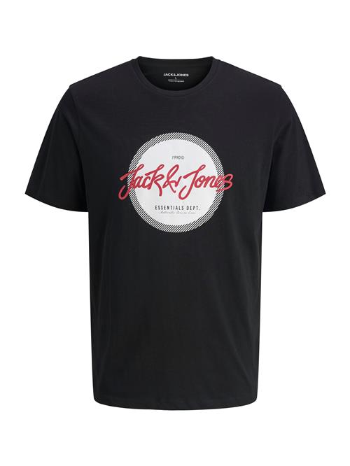 JACK & JONES Bluser & t-shirts 'URBAN'  grenadine / sort / hvid