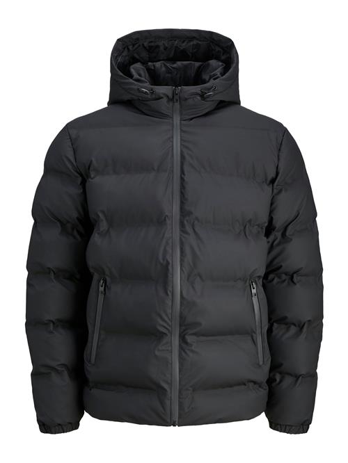 JACK & JONES Vinterjakke  sort