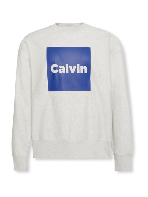 Calvin Klein Jeans Sweatshirt  lysegrå / mørkelilla