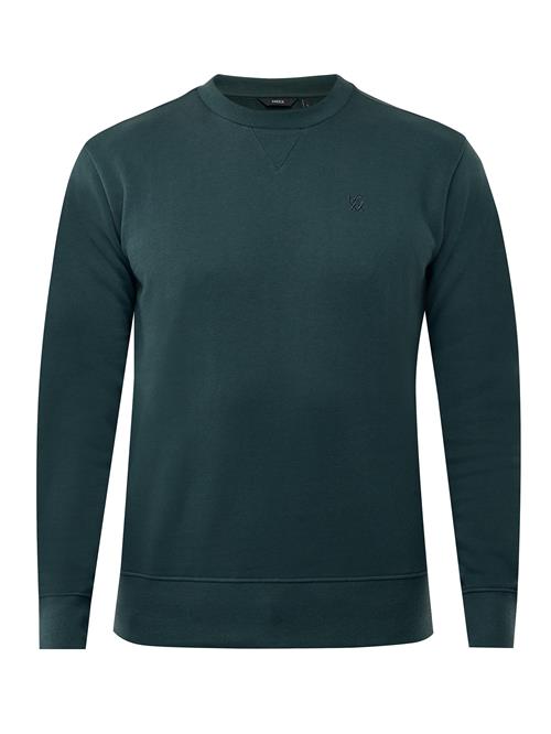 MEXX Sweatshirt  mørkegrøn