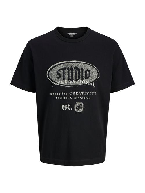 JACK & JONES Bluser & t-shirts 'JORMEADOWS'  grå / sort