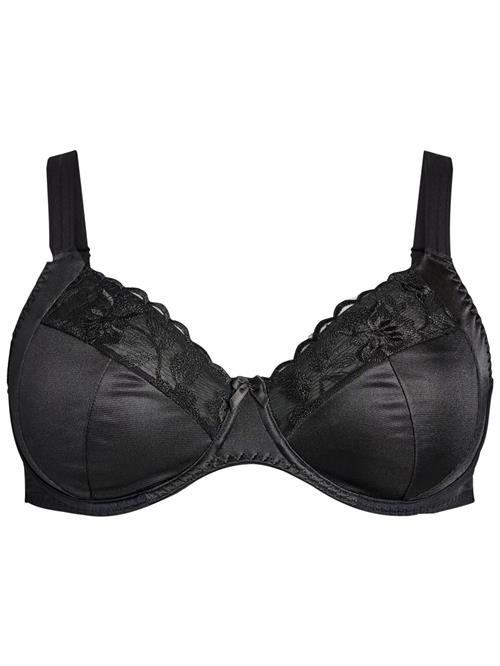 Devoted by Zizzi BH 'Beth'  sort