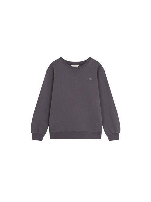 Scalpers Sweatshirt 'Guitar'  opal / antracit / lysegrøn / sølv